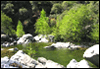 American River