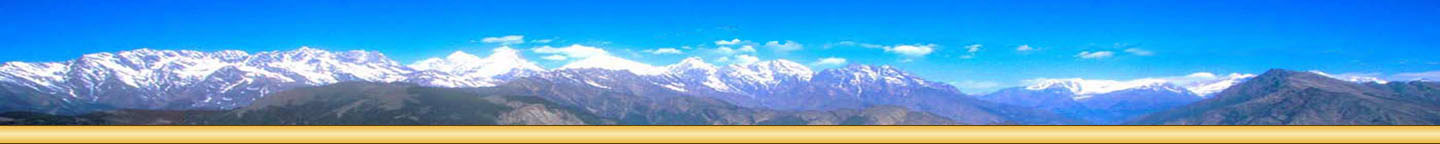SRV Associations of Oregon, San Francisco and Hawaii