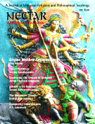 nectar issue 23